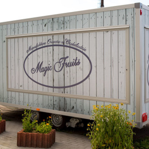 Przyczepa gastronomiczna 5m - kontenery specjalistyczne Bannert