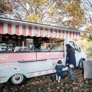 samochód do sprzedaży lodów