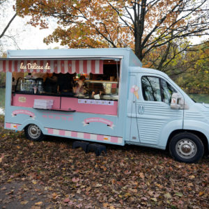 samochód do sprzedaży lodów