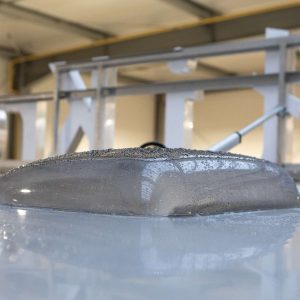 Samochód gastronomiczny Krowa i Wół