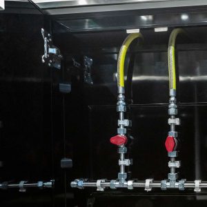 Samochód gastronomiczny Krowa i Wół